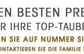 Den besten Preis für Ihre Top-Tauben ?