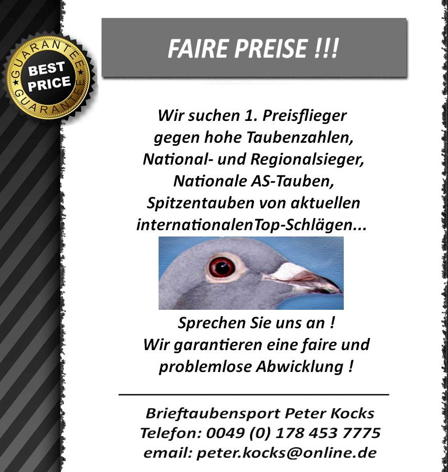 Wir suchen 1. Preisflieger, AS-Tauben, Spitzentauben...