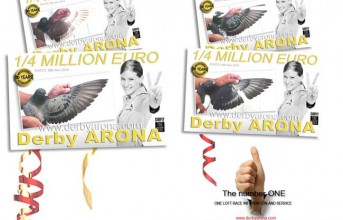 Photos de Derby Arona individuel Pigeon & Liste mise à jour de Loft