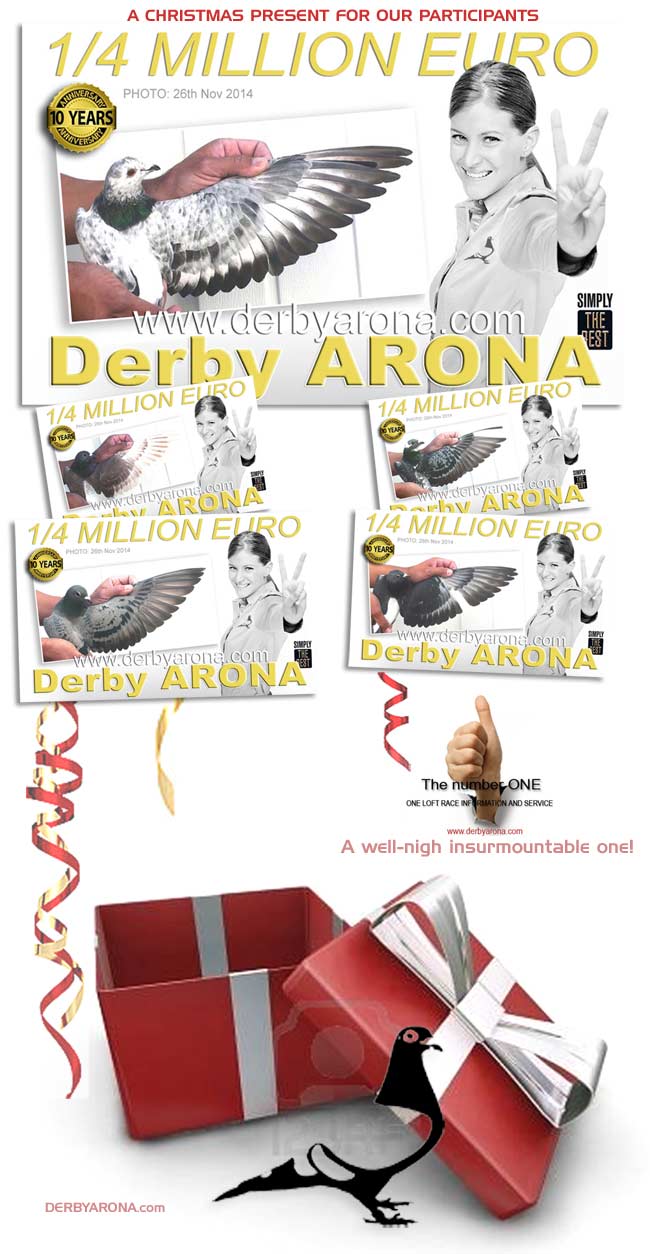 Derby Arona Individual Pigeon's Photos & Updated Loft List