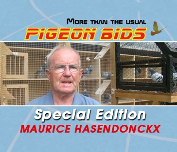 PIGEON BIDS EXTRA EDITION... MAURICE HASENDONCKX