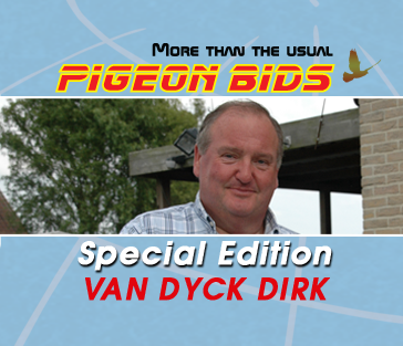 PIGEON BIDS EXTRA EDITIE DIRK VAN DYCK - INTERNETAUKTION MIT ORIGINAL DIRK VAN DYCK TAUBEN