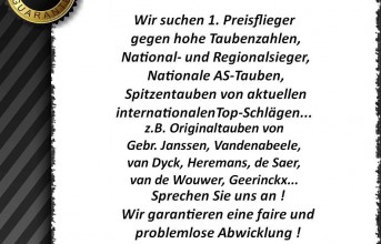 Wir suchen 1. Preisflieger, Spitzentauben internationaler Top-Schläge...