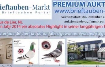 PREMIUM auction LEO VAN RIJN from de Lier (NL) ...