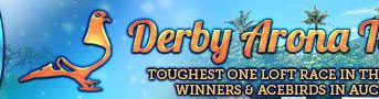 AUCTION - Derby Arona in Tenerife ...