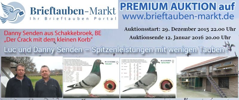Premium Auktion - DANNY SENDEN aus Schakkebroek, BE