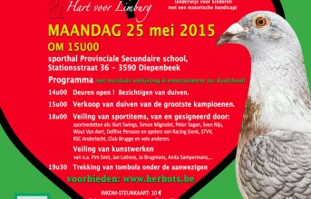 Pigeon happening Sint-Gerardus am 25. Mai 2015...