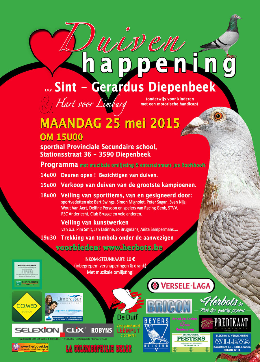 Pigeon happening Sint-Gerardus am 25. Mai 2015...