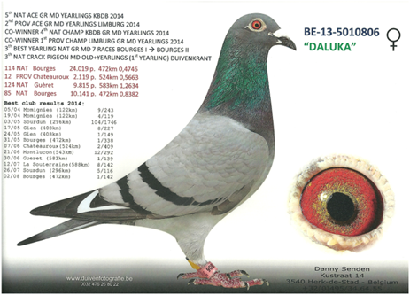 BE-13-5010806 Daluka; The Limburg Girls