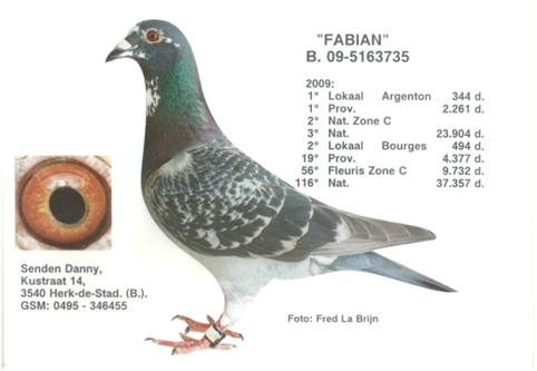 B. 09-5163735 Fabian