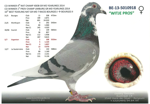 BE-13-5010918 Witje Pros; The Limburg Girls