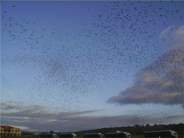 MARSEILLE International 2015...3. Update