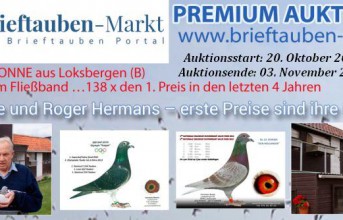 PREMIUM Auktion HERMANS-BONNE, Loksbergen ...