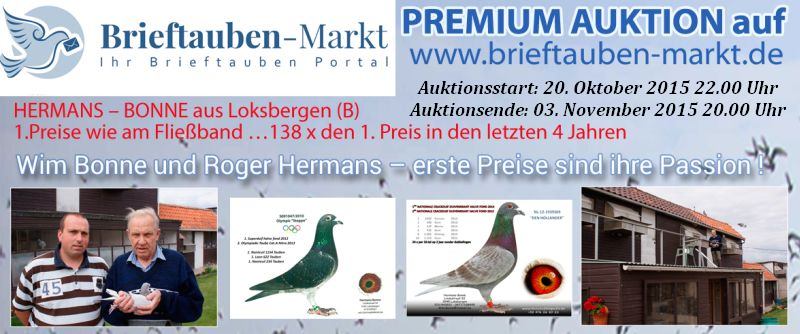 PREMIUM-Auktion HERMANS-BONNE, Loksbergen...