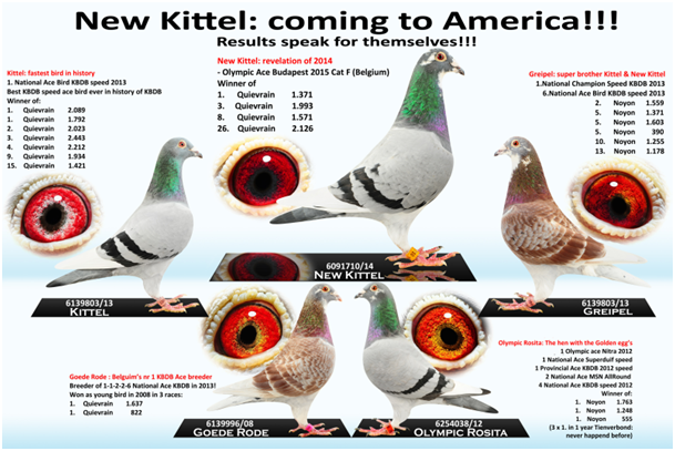 6091710/14 New Kittel