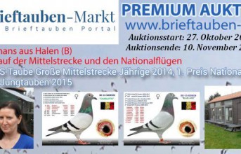 PREMIUM-Auktion SABRINA BRUGMANS, Halen…