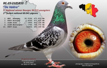 SABRINA BRUGMANS, Halen (B) - 1. National Bourges gegen 36.315 Jungtauben 2015