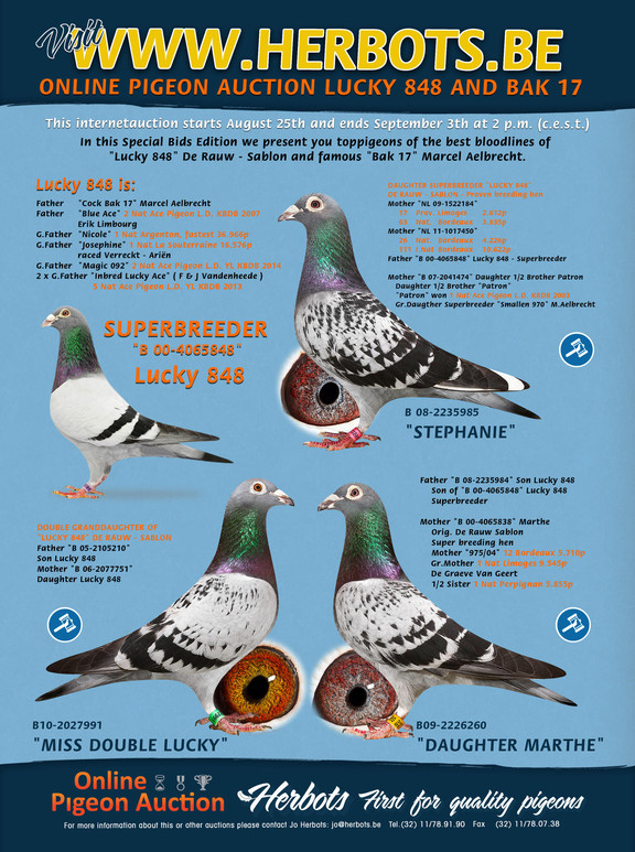 PIGEON BIDS SPECIAL "LUCKY 848" UND "BAK 17"...