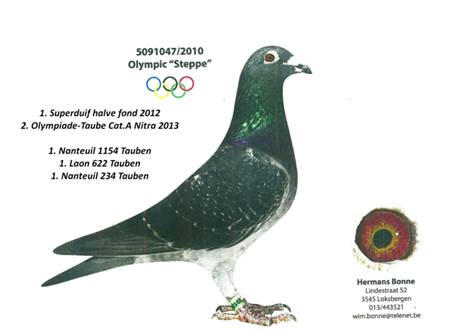 5091047/2010 OLYMPIC "STEPPE"