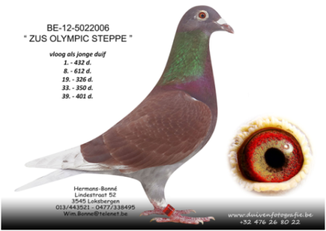 BE-12-5022006 "ZUS OLYMPIC STEPPE"