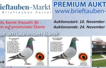 PREMIUM-Auktion ETIENNE PAUWELS, Kermt…