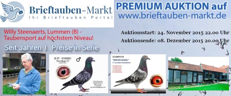 PREMIUM-Auktion WILLY STEENAERTS aus Lummen...