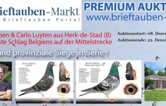 PREMIUM-Auktion VANOPPEN-LUYTEN aus Herk-de-Stad…