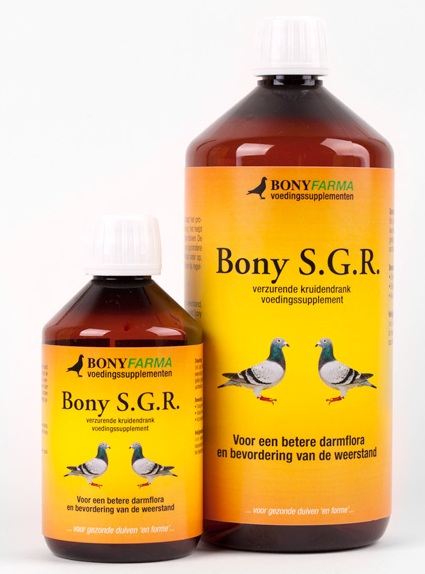 Healthy pigeons in TOP form - Bony S.G.R. ...