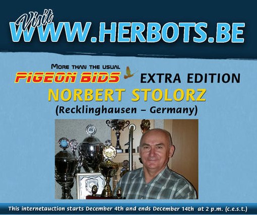 PIGEON BIDS EXTRA EDITION NORBERT STOLORZ...