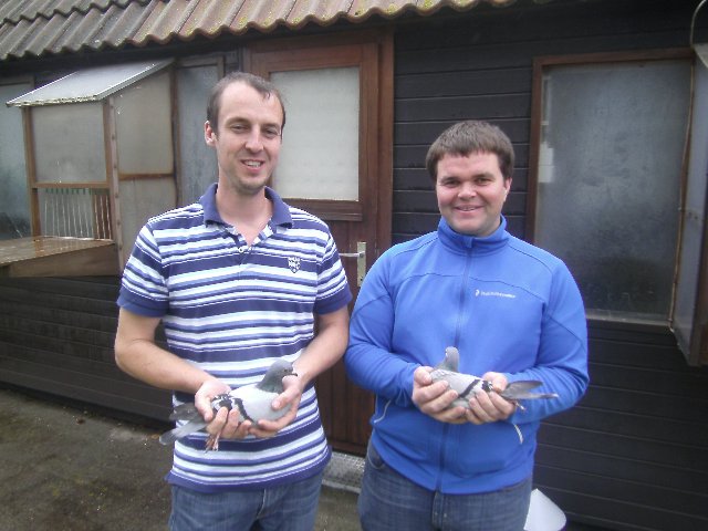 Bart Geerinckx: „Alles beginnt mit guten Tauben“...