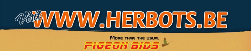 PIGEON BIDS extra Editions...