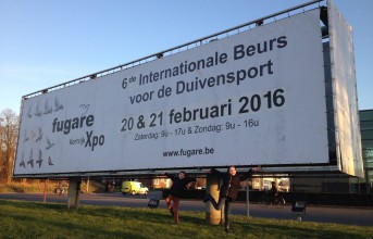 Fugare 2016 – Die belgische Brieftaubenmesse war ein großer Erfolg...