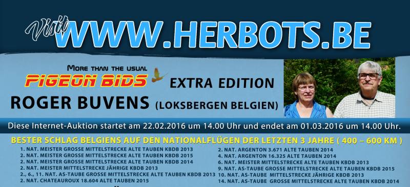 PIGEON BIDS EXTRA EDITION ROGER BUVENS, LOKSBERGEN BELGIEN...