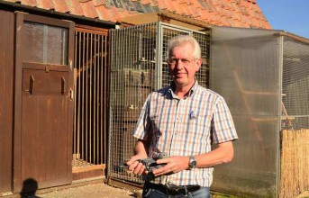 WILLY STEENAERTS AUS LUMMEN (B) - DER ALLESKÖNNER AUS LIMBURG...