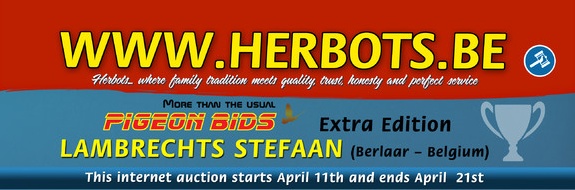 PIGEON BIDS Extra Edition - Stafaan Lambrechts...