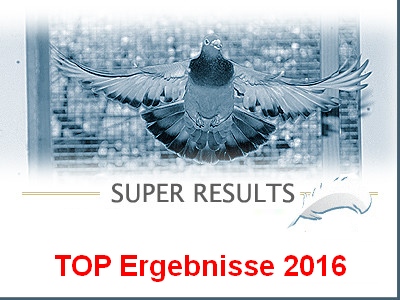 TOP Ergebnisse 2016...
