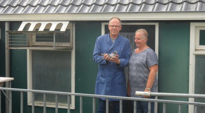 Jacob Poortvliet - La estrella en el deporte de las palomas holandés!