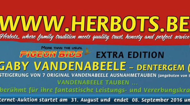 PIGEON BIDS EXTRA EDITION GABY VANDENABEELE ...