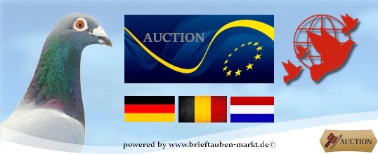 Auktion EUROPEAN SUPERSTARS 2016 - Ankündigung...