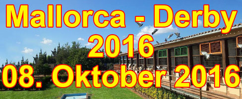 Mallorca Derby 2016 - die Gewinner des Finalfluges...