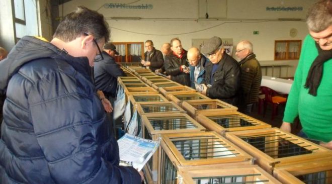 Auktion Wolfgang Röper - Grosse Begeisterung beim "Kiek Dag" in Duisburg...