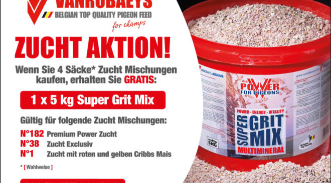 VANROBAEYS ZUCHT EXCLUSIV – Ergebnisse sind verblüffend…