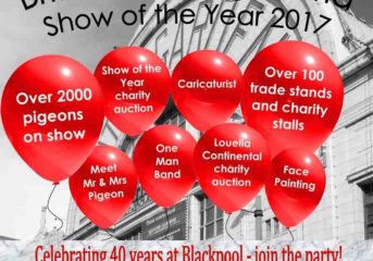 45th annual BHW Show of the Year at Blackpool...