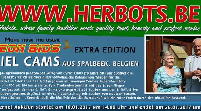 PIGEON BIDS EXTRA EDITION CYRIEL CAMS, SPALBEEK - BELGIEN...
