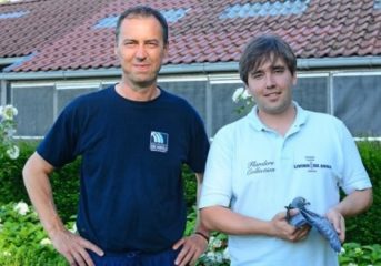 Flanders Collection - eine neue Macht in Belgien...