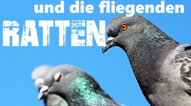 Erster Taubenkrimi:  Almut und die fliegenden Ratten...