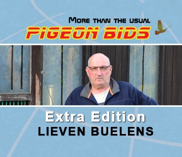 PIGEON BIDS extra editie LIEVEN BUELENS ...