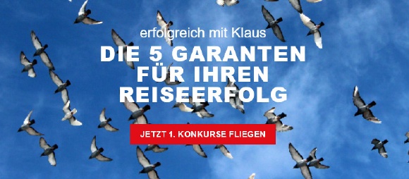 Die 5 Garanten für ihren Reiseerfolg...