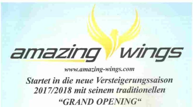 amazing-wings startet in die neue Versteigerungssaison 2017/2018...