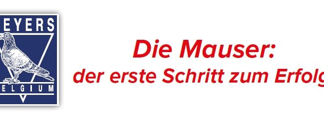 Die Mauser - der erste Schritt zum Erfolg...